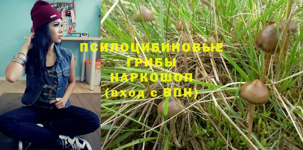 кристаллы Горняк